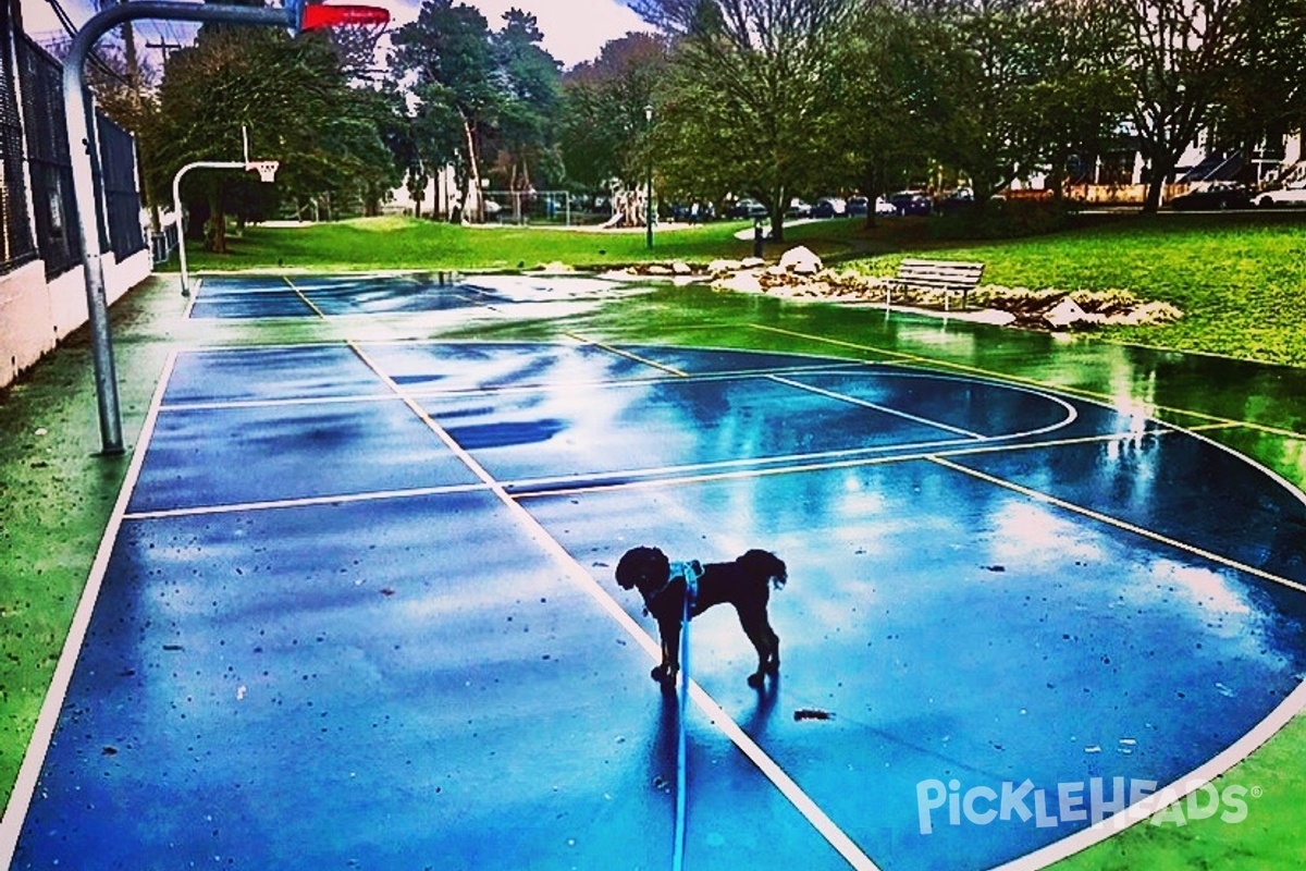 Photo of Pickleball at Cedar Cottage Park